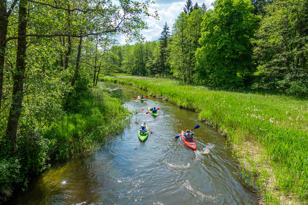 Spływy kajakowe Łyna